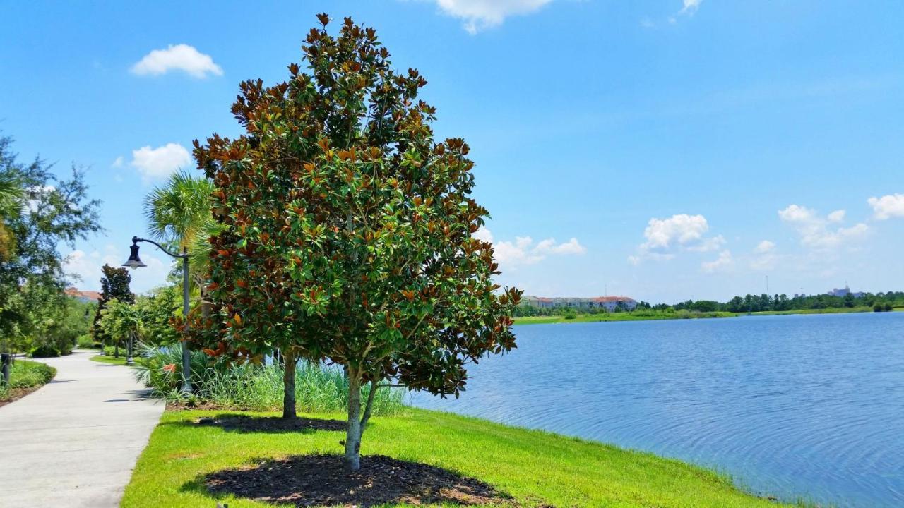 Newly Updated Condo W Scenic Resort View Orlando Buitenkant foto